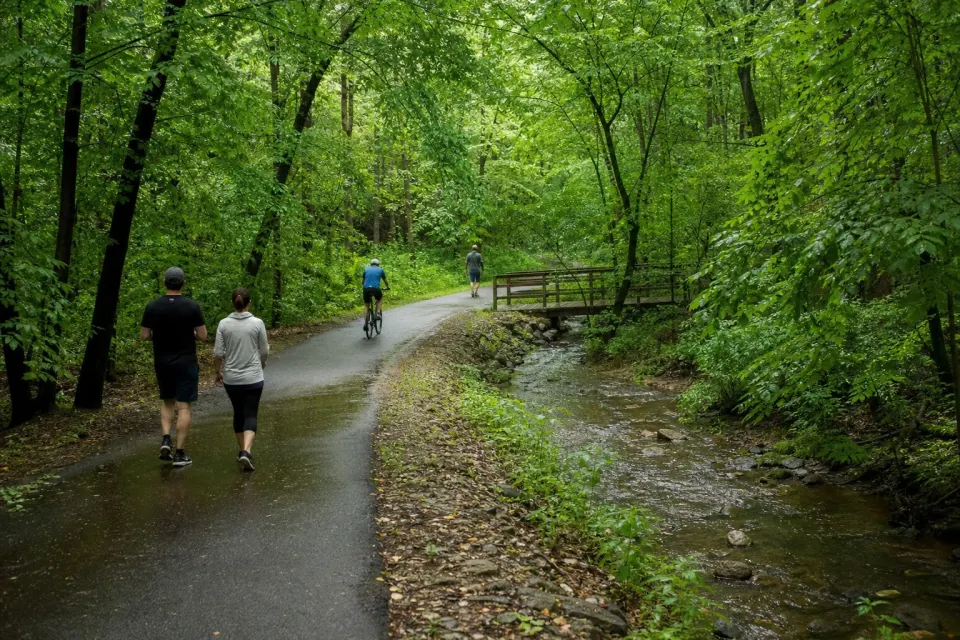 Walkers and a cyclist following a wet wooded trail beside a flowing stream